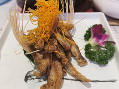 初恋小刀鱼-赵小姐丨新中餐(曲江店)