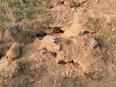 -杭州野生动物世界