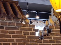 大堂-北平盛世·新京菜·北京烤鸭(劲松·双井店)