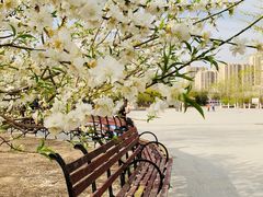 -永定河休闲森林公园