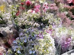 -循礼门鲜花花市(武汉循礼门店)