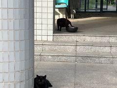 -南京邮电大学(仙林校区)