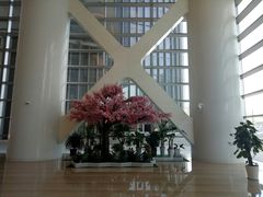 -黄金时代游泳健身云畔会所(绿地中心双子塔店)