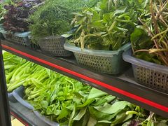-绿草墩