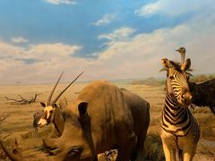 -陕西自然博物馆