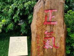 -广州神农草堂中医药博物馆