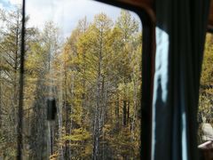 -莫尔道嘎国家森林公园