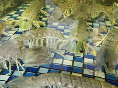 -顺德了能馆(虎门店)