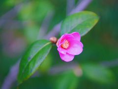 -杭州城北体育公园