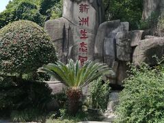 -新洲生态园