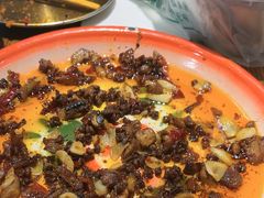 -柴窝堡22号辣子鸡·传承新疆菜