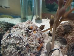 -太平洋海底世界