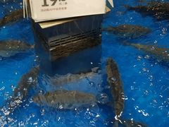-盒马鲜生(顺义店)