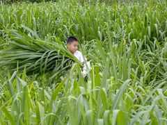 -郴州特产舜华临武鸭(郴州西站店)