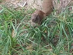 -上海虹桥迎宾馆