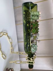 -新蝶变皮肤管理中心