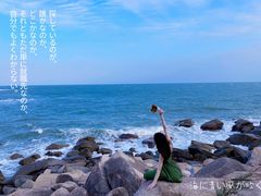 -广东惠东海龟国家级自然保护区