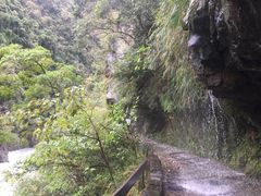 -太鲁阁公园