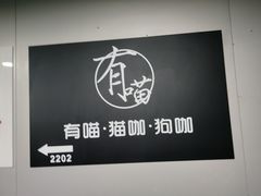 -有喵·猫咖·狗咖·30几只猫10只小狗(岗厦店)