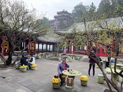 -宫事颐庭·老佛爷贵寿下午茶(颐和园店)