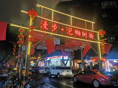 -泡桐树街