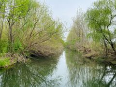 -溱湖国家湿地公园