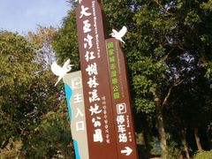 -大亚湾红树林城市湿地公园