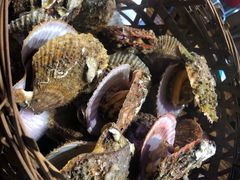 -蚝堡海鲜·威海菜·海肠捞饭·烧烤·亚洲吃蚝公司(幸福门店)