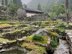 -MOJ coffee(瓯海泽雅水碓坑店)