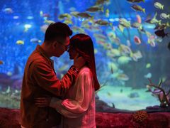 -沈阳海洋探索中心