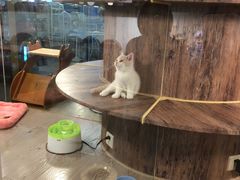 -宠物世家(仲盛世界商城店)