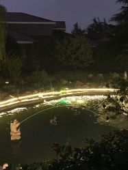 -虹桥迎宾馆·宴会厅