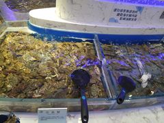 -澜悦港海鲜体验主题餐厅