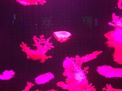 -多彩贵州城极地海洋世界