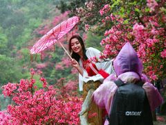 -木兰云雾山
