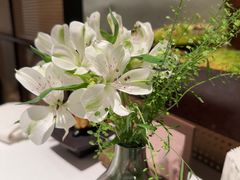 -许家菜(DT51店)