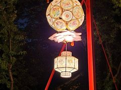 -中国湿地博物馆