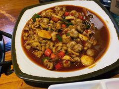 -红辣椒八爪鱼特色韩国料理