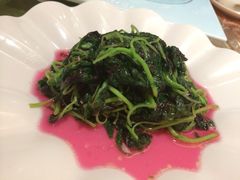 iphone_upload_pic-苏州嘉盛丽廷国际酒店