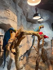 -Zoolung Zoolung动物主题公园(海信广场店)