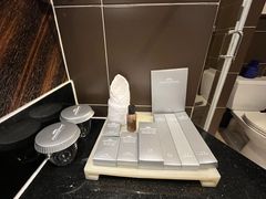 -武汉江城明珠豪生大酒店