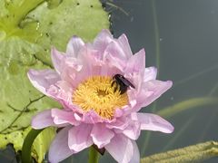 -云溪植物园