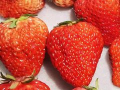 -百果园(东莞新世纪明上居2店)