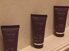 -广州富力丽思卡尔顿酒店