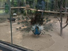 -石家庄市动物园