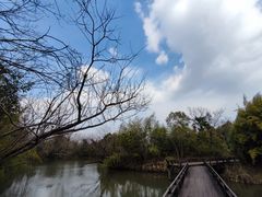 -西溪国家湿地公园