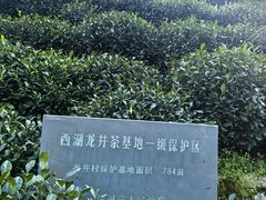 -十八棵（老龙井）御茶园(老龙井店)