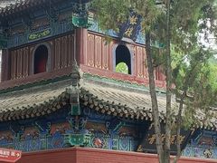 -洛阳白马寺