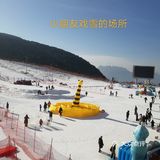 我要做滑雪场上最靓的仔[胜利]