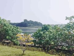 -梁子湖东篱老屋生态庄园